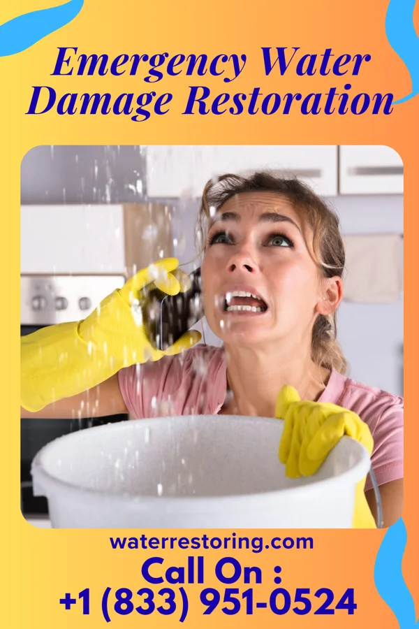 Emergency Water Damage Restoration in Longville, MN